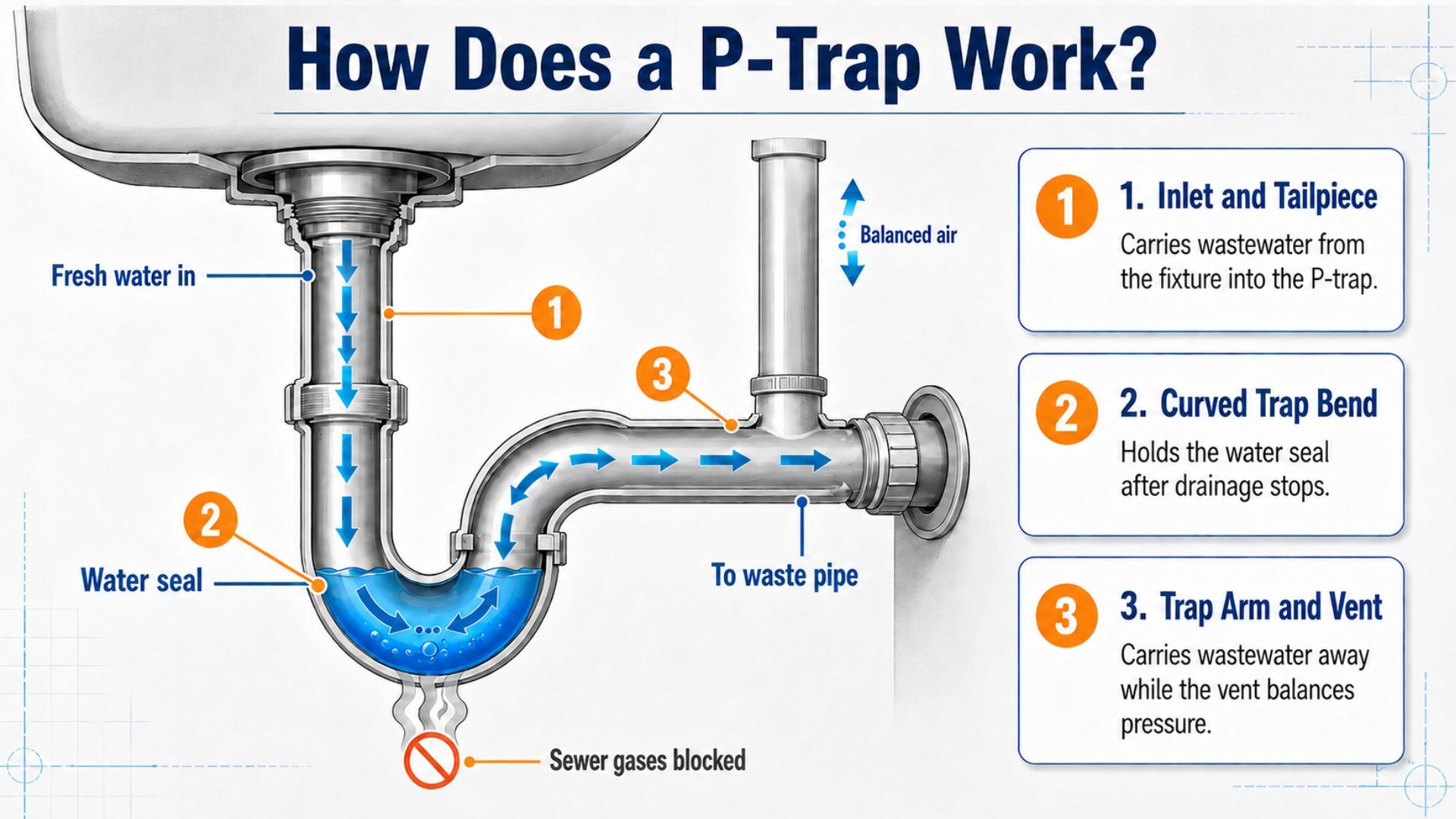 A cutaway plumbing diagram shows how water flows through a P-trap beneath a sink and continues into the waste pipe. The curved trap bend retains a water seal that blocks sewer gases from traveling back through the drain. The diagram also shows the inlet and tailpiece, trap arm, and plumbing vent that helps balance air pressure in the drainage system.